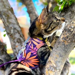 Meet your Posher, Marie